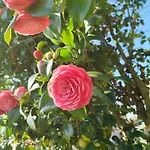 Chateau De Mont St Michel فندق مبيت وإفطار 3*